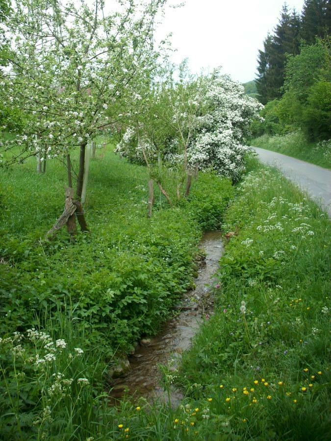 Отель Gasthof Susewind Antfeld Экстерьер фото